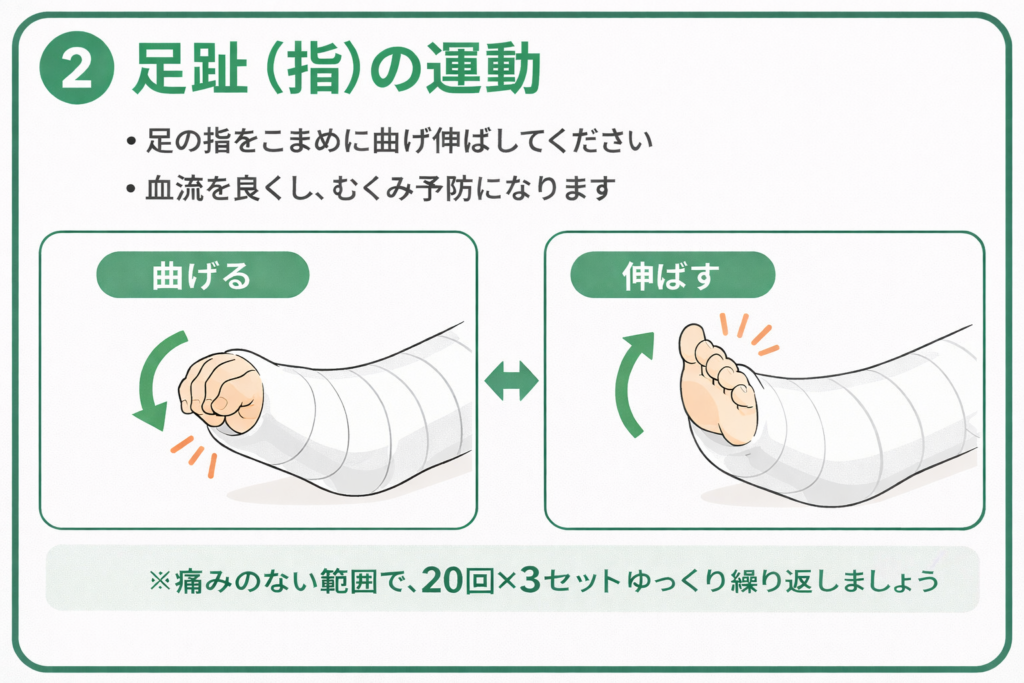 足趾の運動