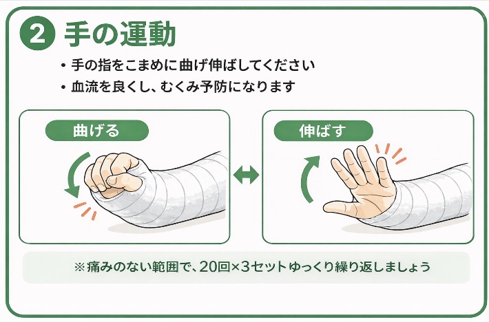 手の運動